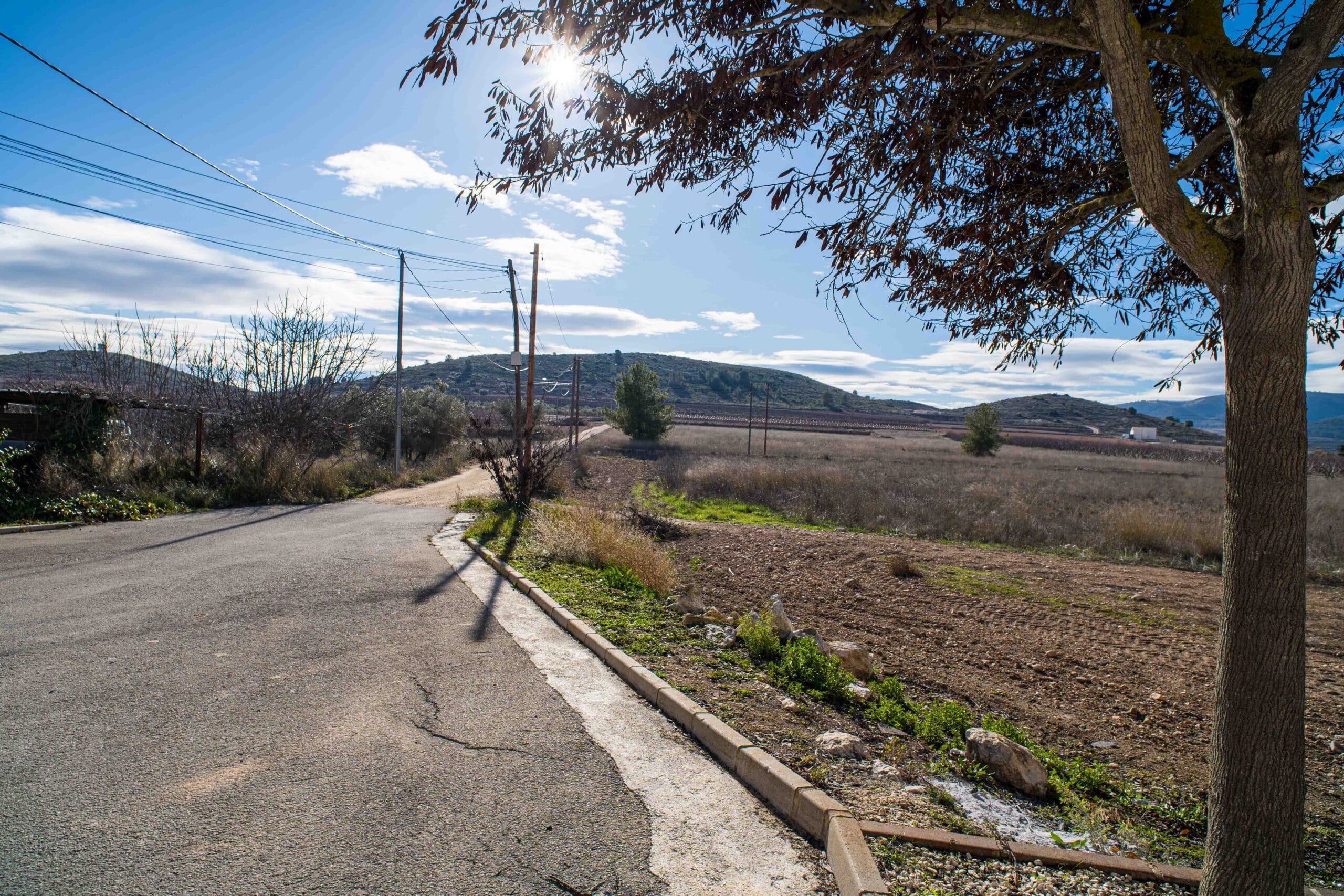 A paved rural road with a tree on the right side and open fields extending to hills under a bright blue sky with scattered clouds.