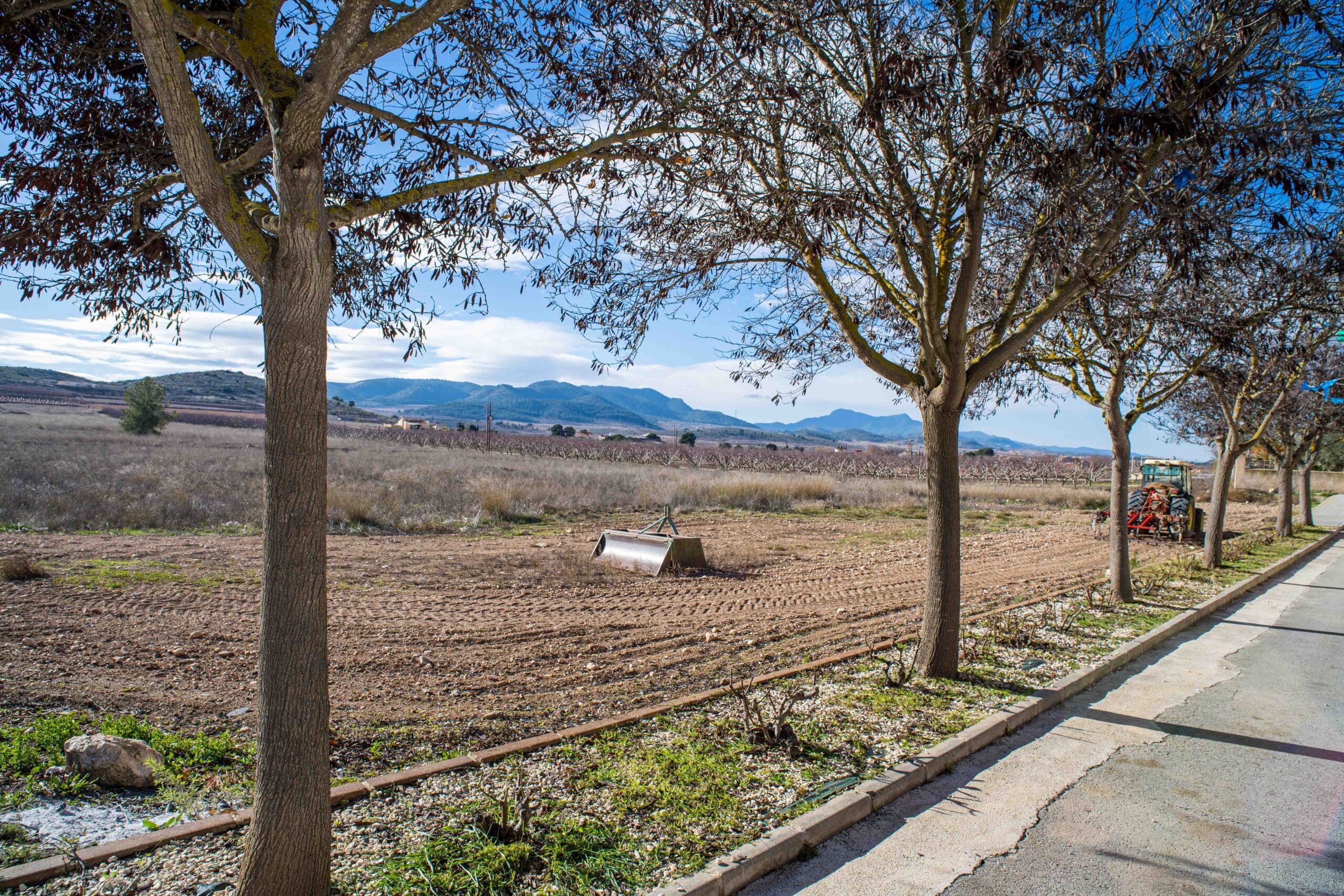 View of a rural area with trees lining a sidewalk, dry farmland, and mountains in the background under a partly cloudy sky.